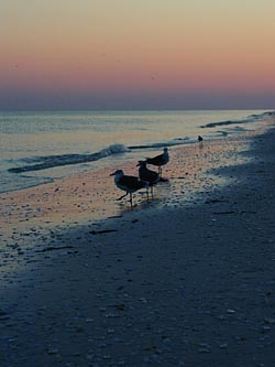 [Negative sunset]