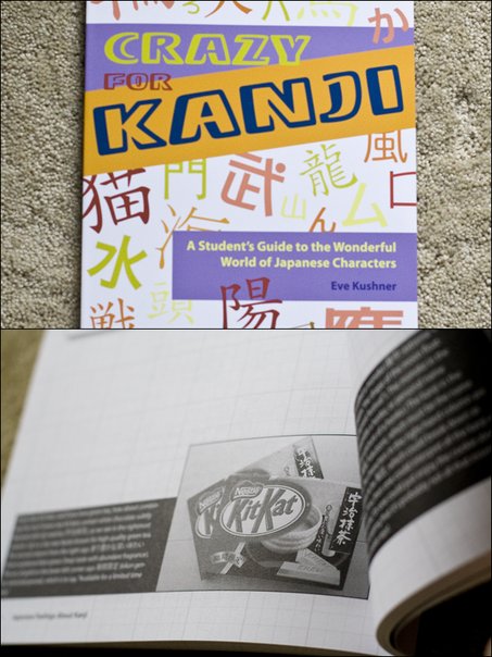 20090302.01.jpg