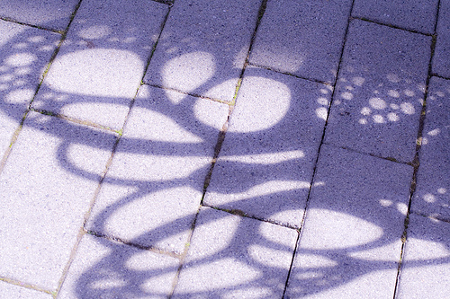 20100927.01.jpg